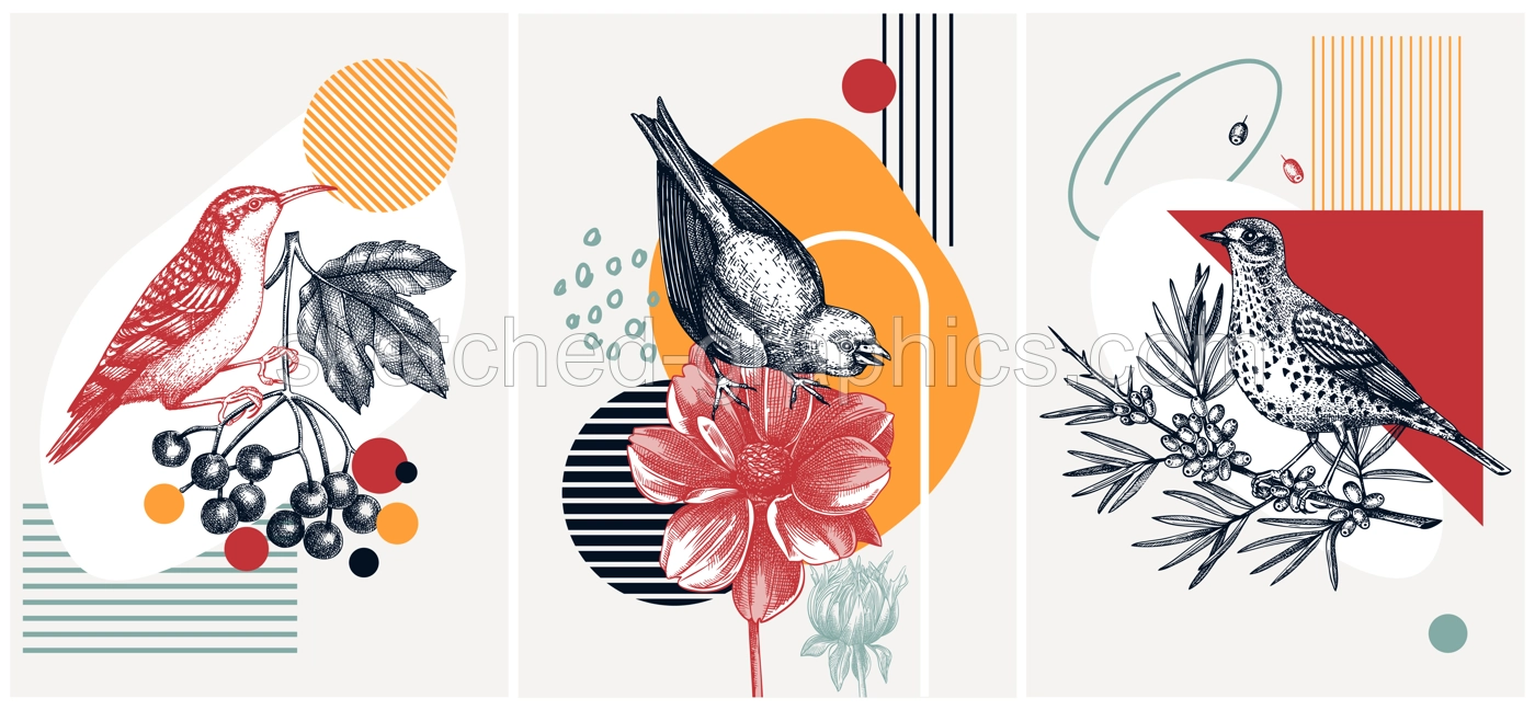 Collage-style bird background. Sketched bird trendy frame. Creative background with botanical illustration, geometric shapes, and abstract elements. Perfect for print, wall art, packaging and cards. Illustration